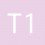 T1
