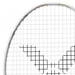 Thruster F C LTD A
