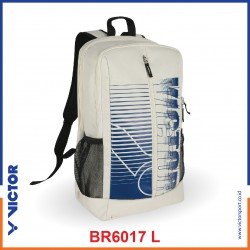 BR 6017 L