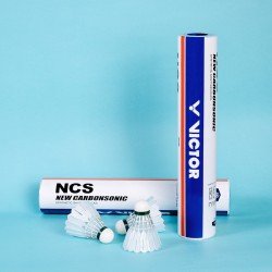 NCS 12pcs